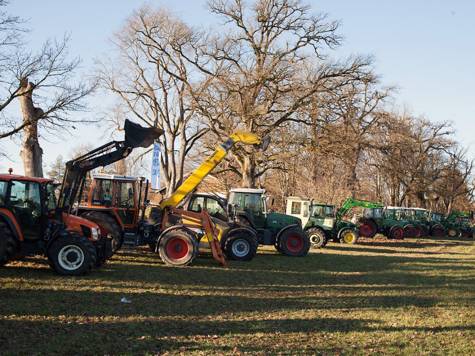 Eine Reihe Traktoren am Rand einer Wiese - im Hintergrund Bäume